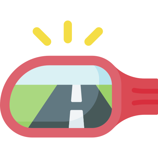 side mirror
